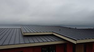 Best Roof Ventilation Installation  in Linton Hall, VA